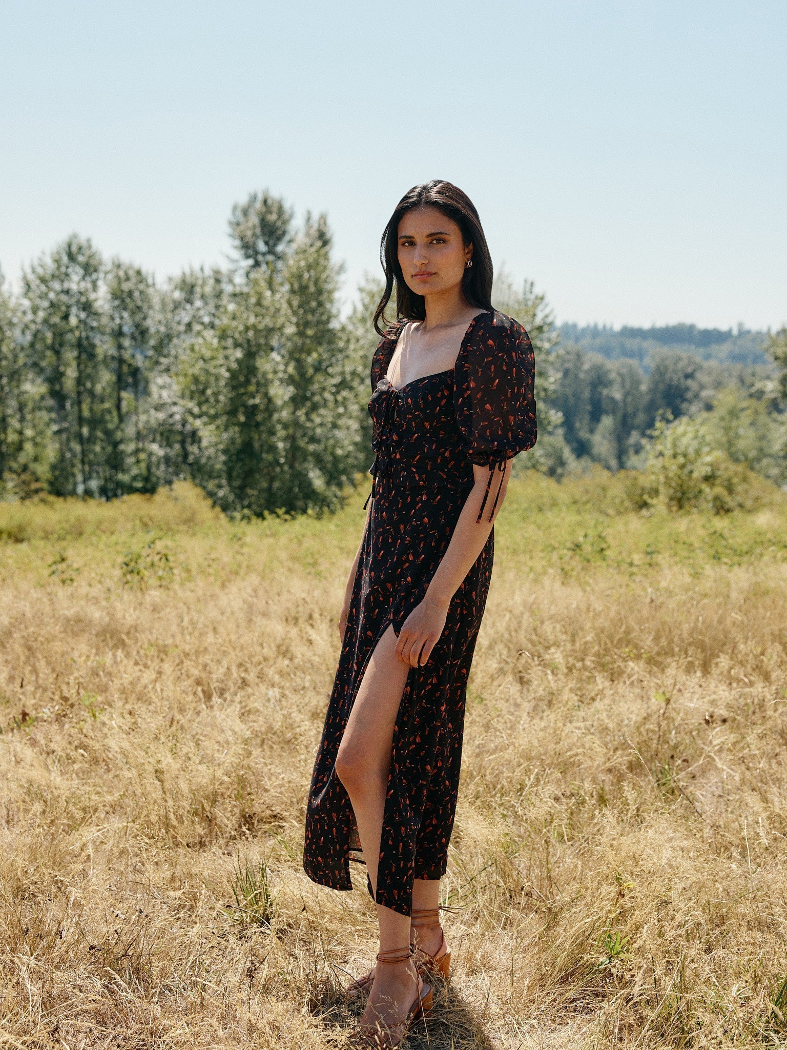 Preston Dress — view 6